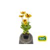 Trvalky Rudbekia SmileyZ Cheerful(2)