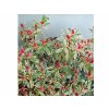 Okrasné kry Azalka japonská Hot Shot Variegated(3)
