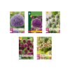Cibuľoviny Okrasný cesnak 5 odrôd oddelene balené 80 ks(7)