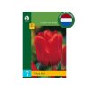 Cibuľoviny Tulipán Triumph Red 15 ks(5)