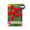 Cibuľoviny Tulipán Triumph Red 15 ks(4)