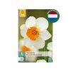 Cibuľoviny Narcis Barrett Browning 5 ks(3)