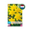 Cibuľoviny Narcis Golden Ducat 5 ks(2)