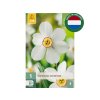 Cibuľoviny Narcis Recurvus 5 ks(4)