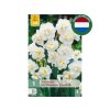 Cibuľoviny Narcis SIR WINSTON CHURCHILL 5 ks (5)