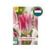 Cibuľoviny Tulipán Flaming Purissima 7 ks(7)