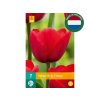 Cibuľoviny Tulipán Ile de France 7 ks(6)