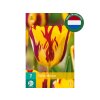 Cibuľoviny Tulipán Helmar 7 ks(6)