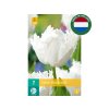 Cibuľoviny Tulipán Noordeinde 7 ks(1)