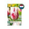 Cibuľoviny Tulipán Sorbet 7 ks (7)