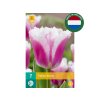 Cibuľoviny Tulipán Siesta 7 ks(3)