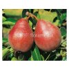 Ovocné stromy Hruška Williamsova červená(3)
