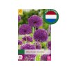MIX cibuľovín 4 odrôd pre motýle oddelene balené 40 ks v balení Happy Butterfly