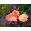 a022f29d bb53 45ec bf74 ec8426caa46f