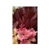 Heuchera Autumn Leaves