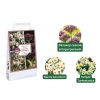 Cibuľoviny MIX cibuľovín do suchých záhrad 35 ks v balení A Bulb For Every Garden Dry Garden