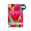 Cibuľoviny Tulipán Pretty Love 7 ks(3)