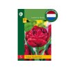 Cibuľoviny Tulipán Double Red 5 ks(1)