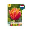 Cibuľoviny Tulipán Amazing Parrot 7 ks(4)