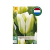 Cibuľoviny Tulipán Green Spirit 7 ks v balení