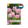 Cibuľoviny Tulipán Double Pink 12 ks
