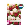 Cibuľoviny Tulipán Dutch Design MIX 15 ks(1)