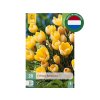 Cibuľoviny Krokus botanický Romance 20 ks