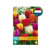 Cibuľoviny Tulipán Triumph MIX 15 ks(2)