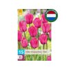 Cibuľoviny Tulipán Triumph Pink 15 ks(2)