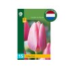 Cibuľoviny Tulipán Triumph Pink 15 ks(3)