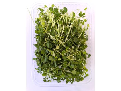 d96281f8 7b1d 48d5 95cd 6b39931b8a13