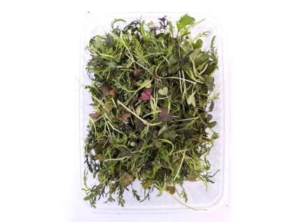 0c1bd5a0 de8f 4ee8 9c47 fc69a0149ee8