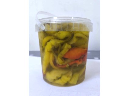 484237823 1881434272597949 7137201006883929112 n