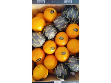 481698911 565795583152346 3772507186058405320 n