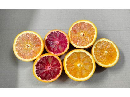 WhatsApp Image 2026 03 04 at 07.03.30