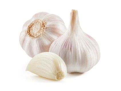 cesnak