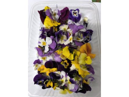 8183ed0a f1f9 41b3 9c99 60fe62900a66