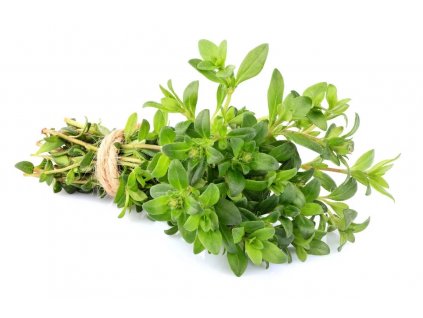 Thyme fresh herb closeup isolate