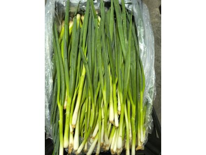 d68c3422 a190 419d 8257 c4fa8760299f