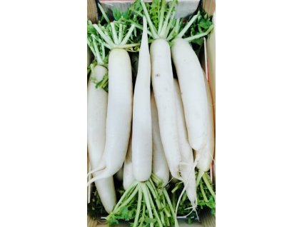 8113b805 b612 4ab0 897a c006586e02af