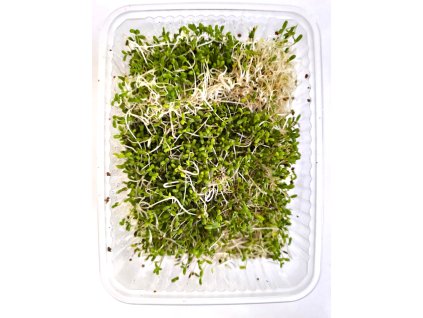 376d96a1 3276 46a9 b4fd ed4bef63d6e6