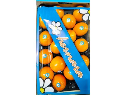 465075471 1259583331958092 2779680979216704715 n