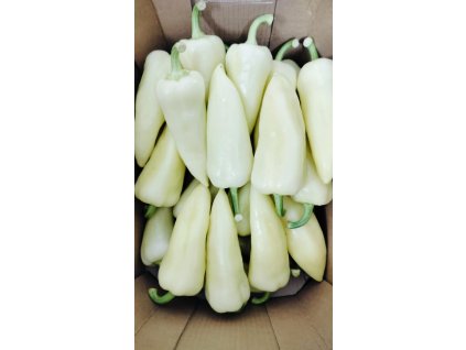 0a5fcc51 ece4 4314 a367 24c702d5a1e7