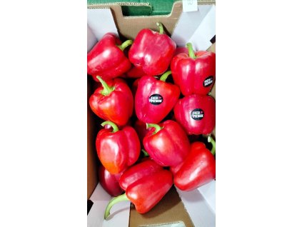 462636964 1109649467218588 1097533549462396602 n1