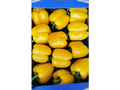 b0c32d1a 9659 4ef9 8e4a 245715717cdb