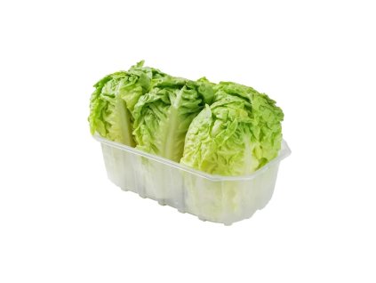 6c190bf2 b566 49d9 bff5 981b7a1cf4f0