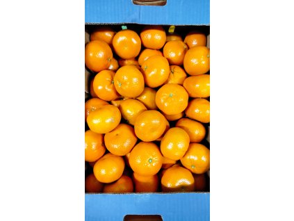 Mandarínka Taliansko