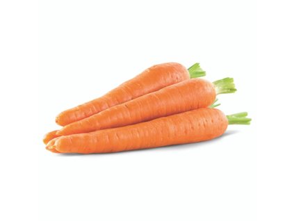 Mrkva praná skorá Poľsko