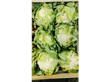 475737491 903137298365632 4583513825074751880 n