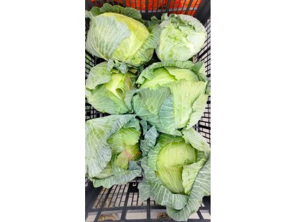 2ca315f7 a010 4f77 95e5 ac5fc44840de